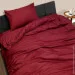 Zastelli    19-1655TPX Garnet   145210