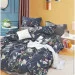   Zastelli   203248/202485   145*210