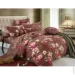 Zastelli    2253A-2254B   200220