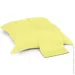 Zastelli  4060 12-0741 Sunny Lime 