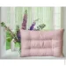 Zastelli    50*70  ()