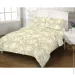 Zastelli    5510     175210