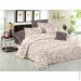    Zastelli   593-594  175210