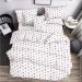    Zastelli   60     145210 
