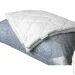 Zastelli   ( ) 70*70