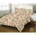    Zastelli   8650 Peach   145210