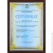  Zastelli 2 Border 70140  5090  