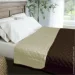 Zastelli    Ivory/Brown/ 200210 