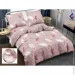    Zastelli   ϳ'   JH10580-10   2145210