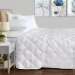  Zastelli  Ostrich 140x205 