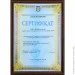    Zastelli   SPIKE yellow   200*220