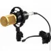 ̳   Zeepin BM-800