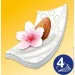   Zewa Exclusive      8  (7322540837933)
