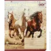   ZiBi     20  HORSES, 24., , KIDS LINE (ZB25.1770L)