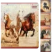   ZiBi     20  HORSES, 24., , KIDS LINE (ZB25.1770L)