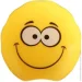 ZiBi  SMILE  