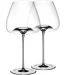 Zieher     Vision Balance 850  2 