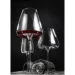 Zieher     Vision Balance 850  2 