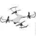 Zipp Toys  DragonFly    (5320078)