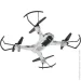 Zipp Toys  DragonFly    (5320078)