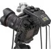  Zoom H6