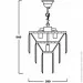  Zuma Line 17106/3+ 1-CHR AMEDEO