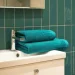 Zwoltex   Paulo 50x100  