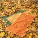 Zwoltex   Paulo 70x140  