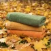 Zwoltex   Paulo 70x140  