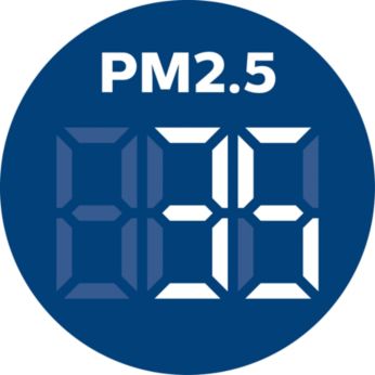    PM2.5     