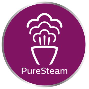  PureSteam        