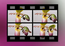 of-img-6