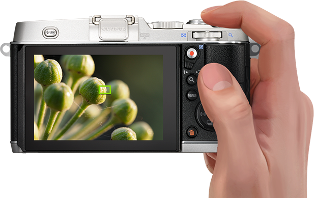 cameras