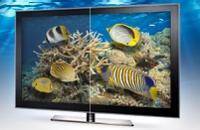 Clear Video fish underwater