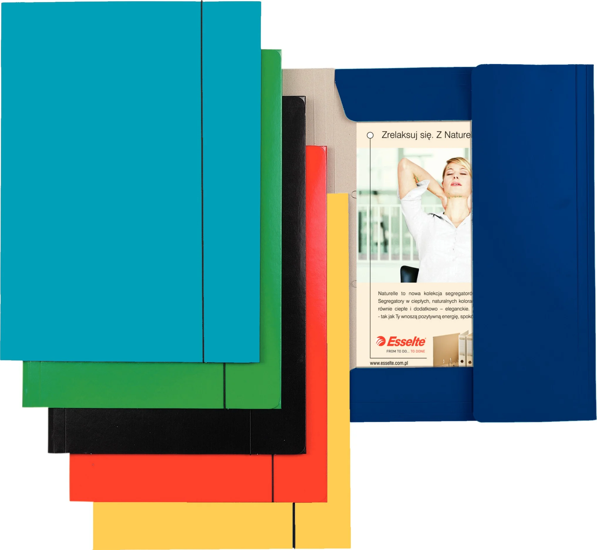 папка для документов а4 картон. папка из дизайнерского картона. папка для документов а4 картон. папка-карман esselte leitz. папка а4 самосборная картон крафт.