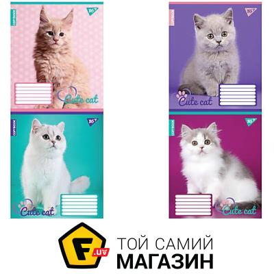 

1 Вересня Тетрадь А5 12 листов, в линию "CUTE CAT" (25 штук в упаковке) (763924)
