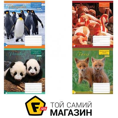 

1 Вересня Тетрадь А5 12 листов в линию "WILD COLLECTION" 25шт в упак (763357)