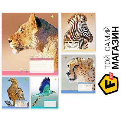 

Тетрада Тетрадь 24 л. "Африка" 20шт в уп. (01387)