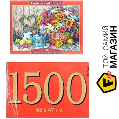 

Пазл Castorland Дары сада (C-151684)