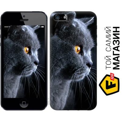 Чехол Endorphone Силиконовый чехол для Apple iPhone 5 Красивый кот "3038u-18