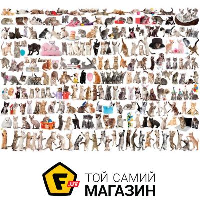 

Пазл Eurographics Пазл Мир кошек, 1000 элементов (6000-0580)