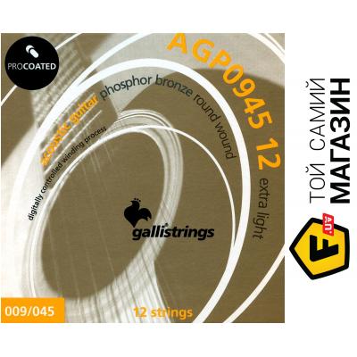 

Комплект струн Galli PROcoated AGP0945-12 (09-45)