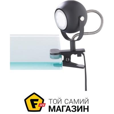 

Настольная лампа Reality Bastia (R20051132)