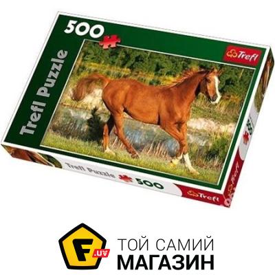 

Пазл Trefl Красота галопа (37184)