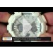    . Casio G-Shock GA