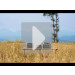  EcoFlow RIVER 2 Max_EU 500W 512Wh