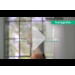 hansgrohe Raindance S 240 with PowderRain