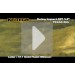 Keitech Swing Impact FAT 3.8``