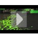    Razer Goliathus