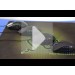    MMO  Razer Naga, Naga Epic, Naga Hex, Naga 2012